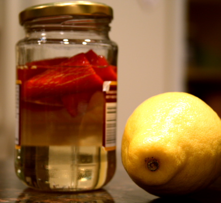 Elements for a Spicy Hot Toddy Spicy Simple Syrup and Lemon