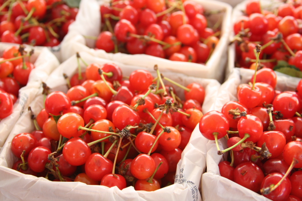 Sangria recipe with cherries