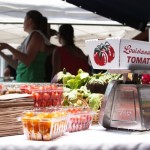 Thumbnail image for Louisiana and Creole Tomato Salad On My Mind