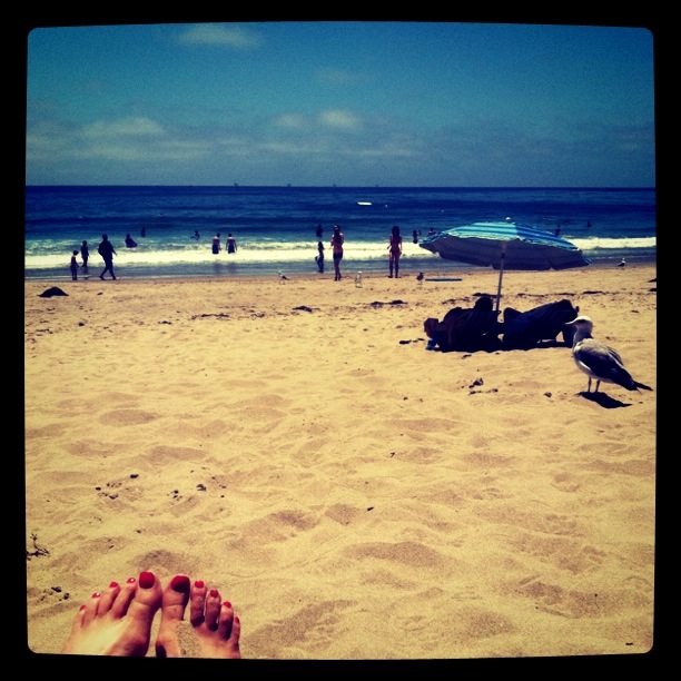 IMG_0829 Beach in Carpenteria
