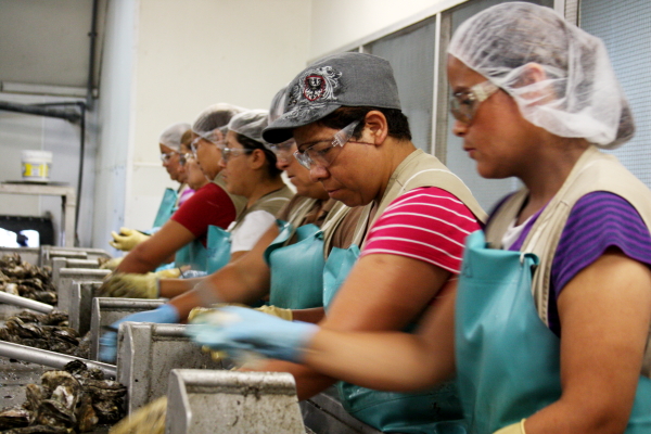 oyster workers Brooke Burton shows teams how to build strong organizational systems