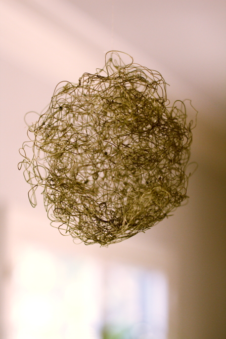 "Loco" A wire sculpture by Brooke Burton